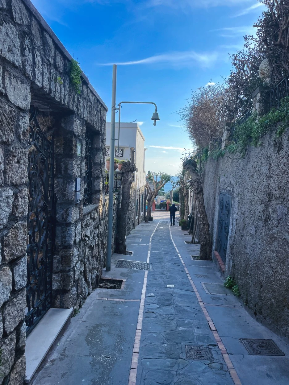 IMG_2405.jpg?type=w1