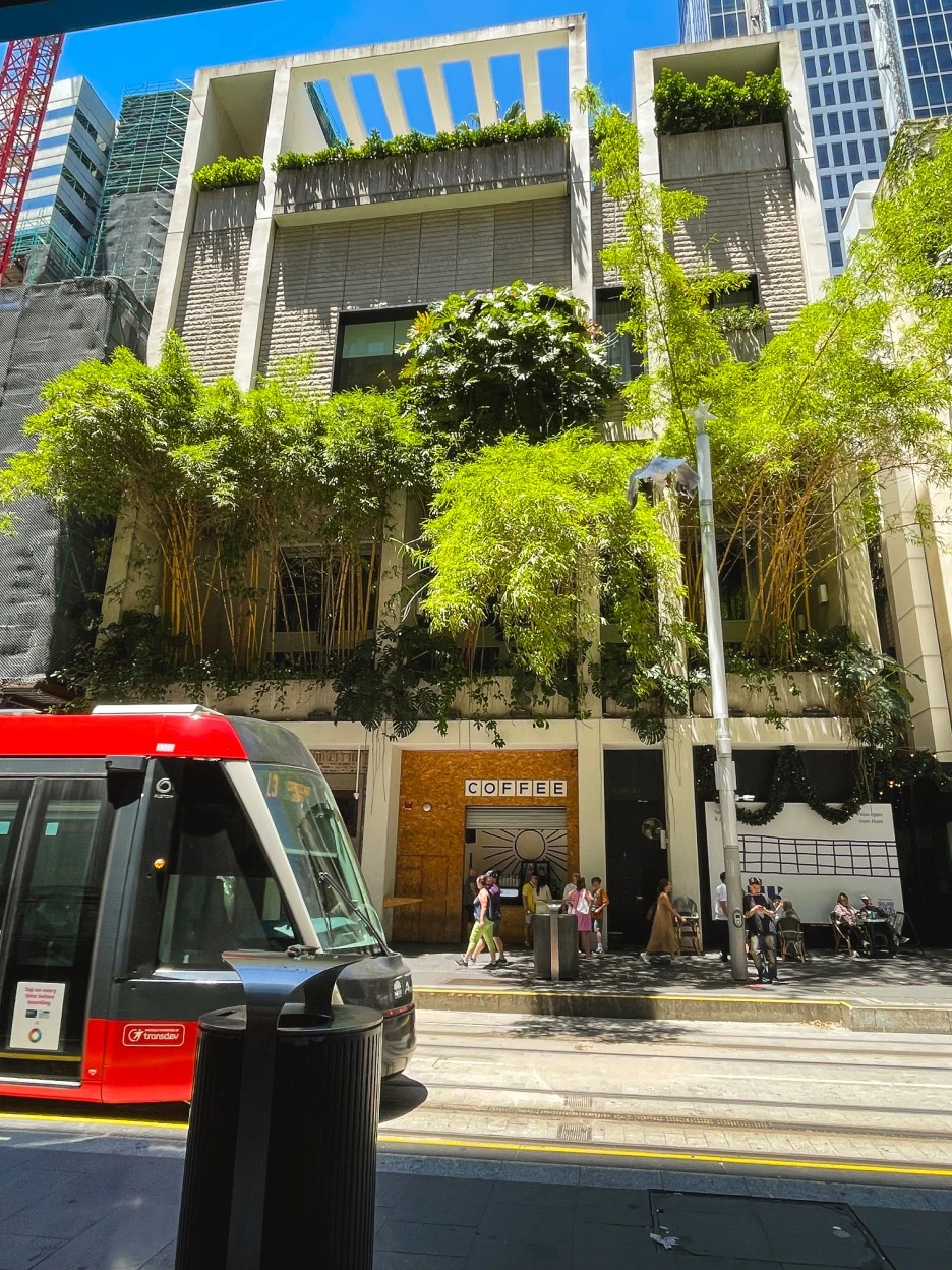 IMG_4802.jpg?type=w1