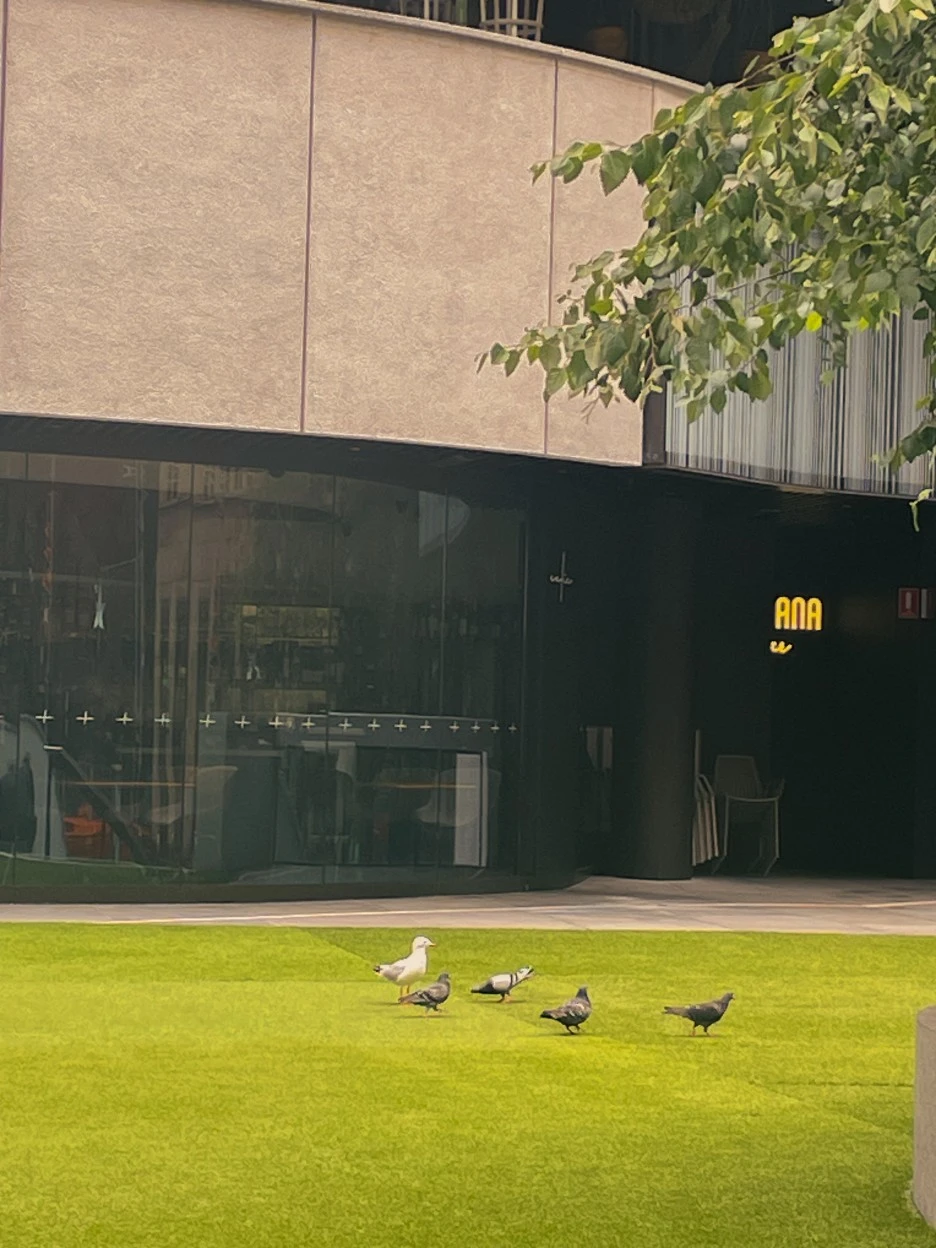 IMG_5230.jpg?type=w1