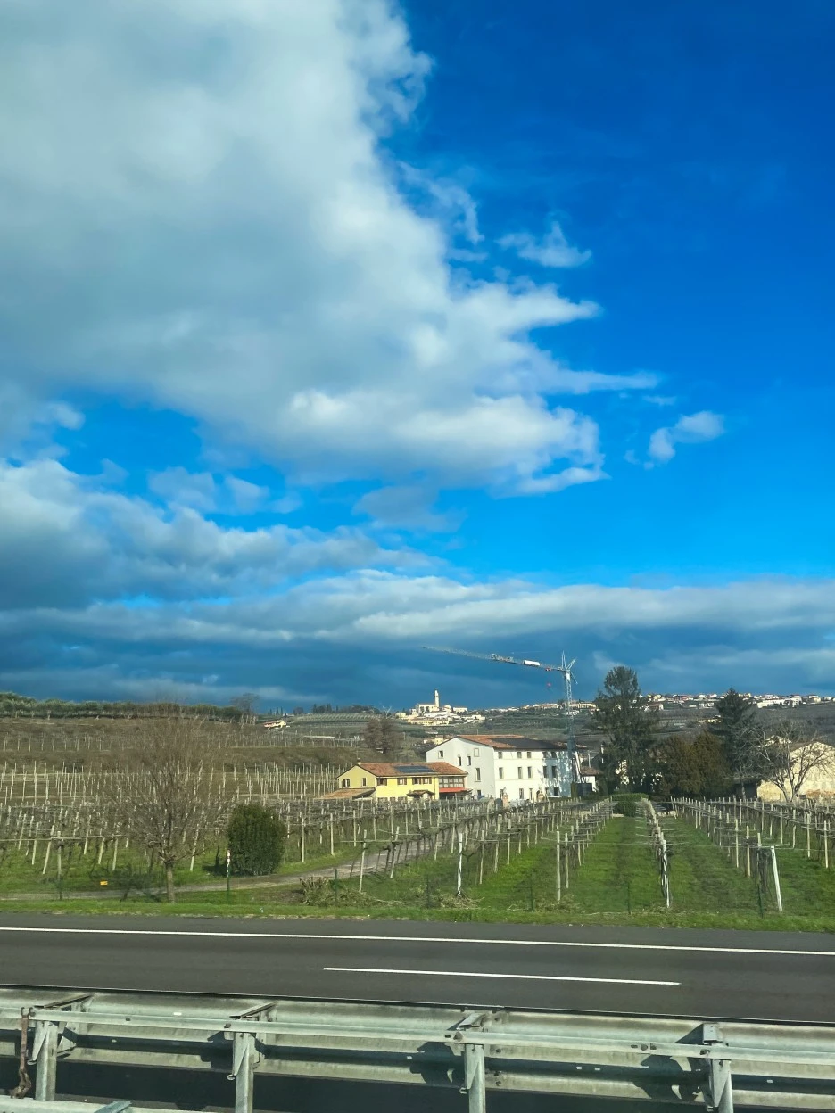 IMG_1540.jpg?type=w1