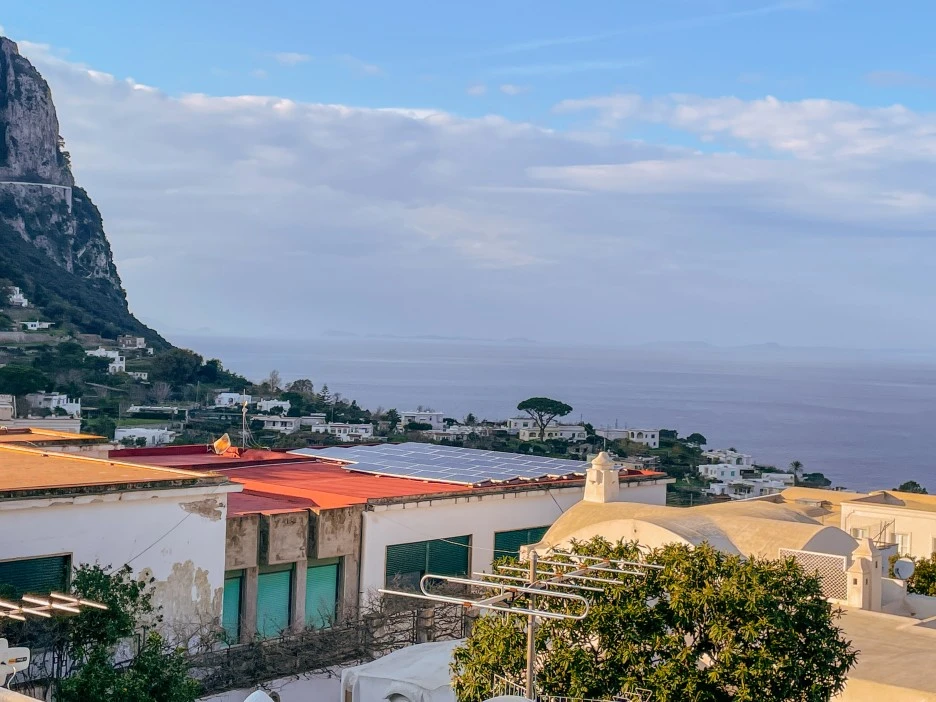 IMG_2482.jpg?type=w1