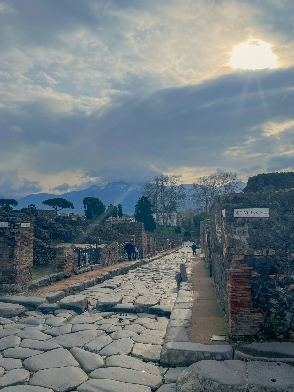 IMG_2274.jpg?type=w1