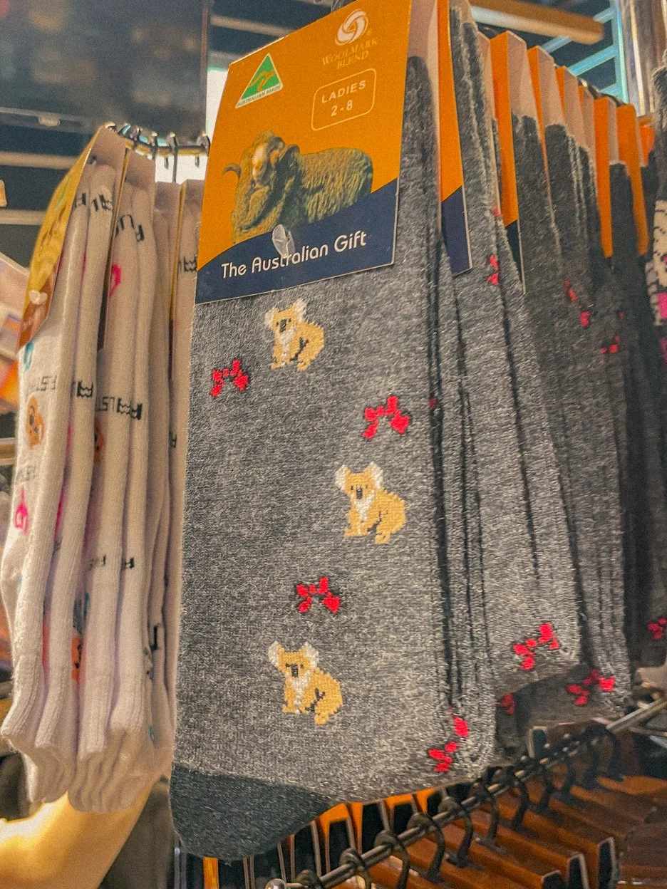 IMG_5505.jpg?type=w1