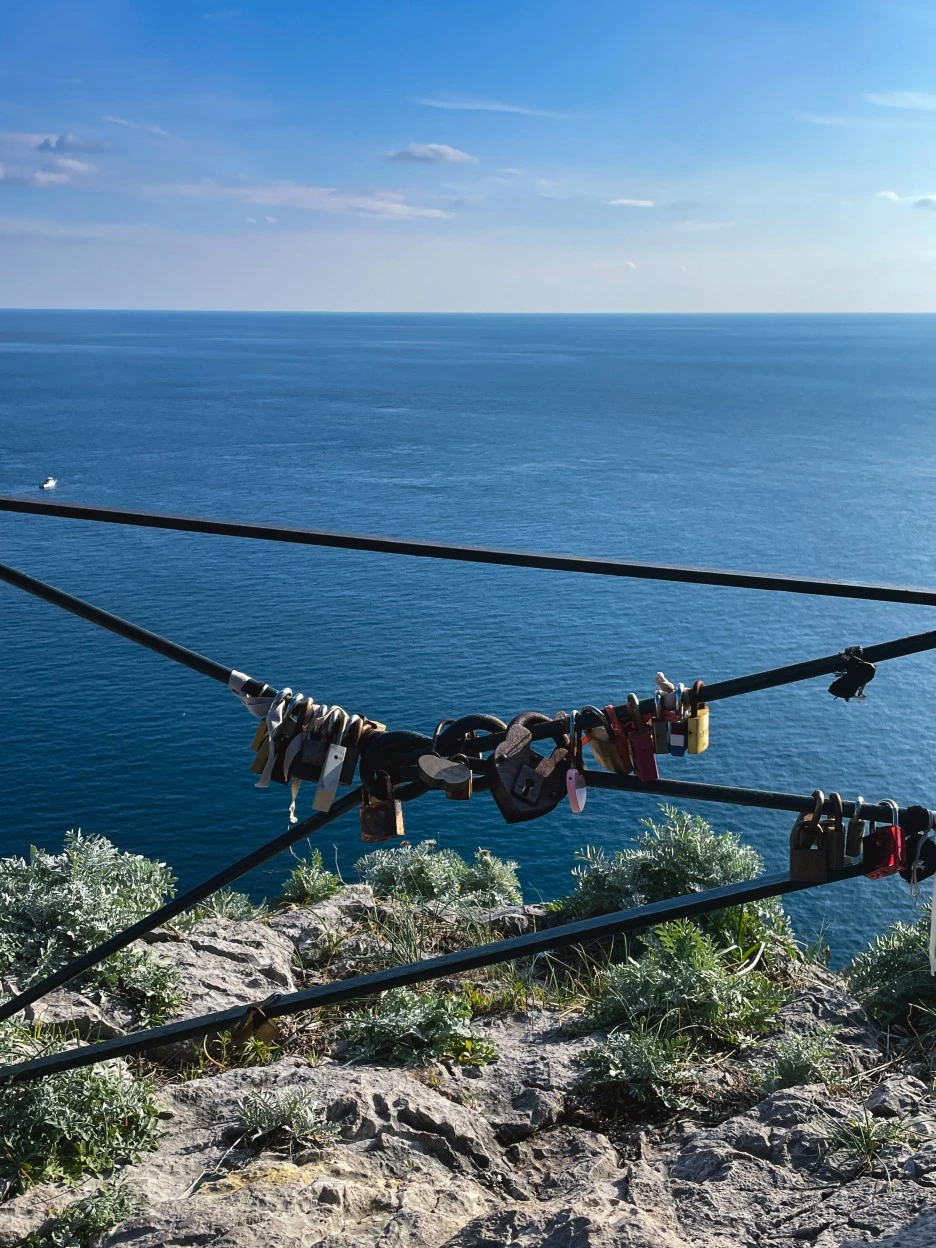 IMG_2415.jpg?type=w1