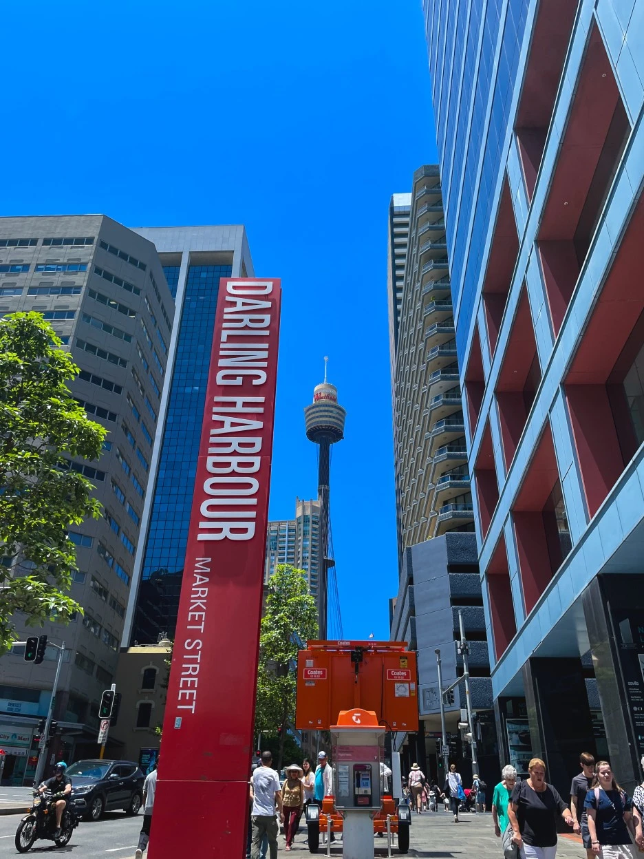 IMG_4781.jpg?type=w1