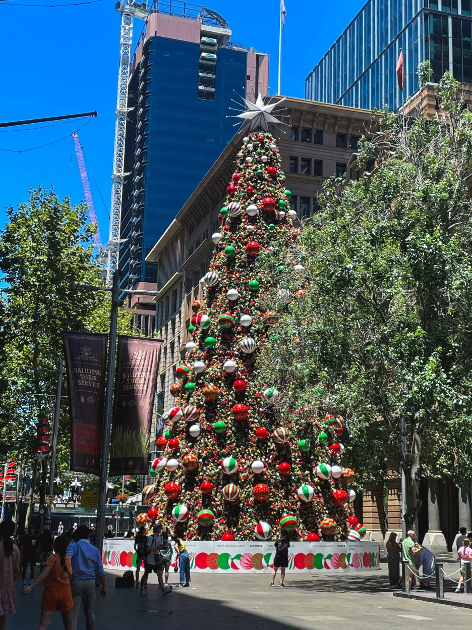 IMG_4796.jpg?type=w1