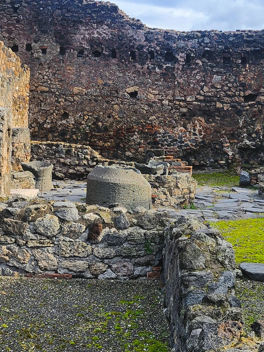 IMG_3620.jpg?type=w1