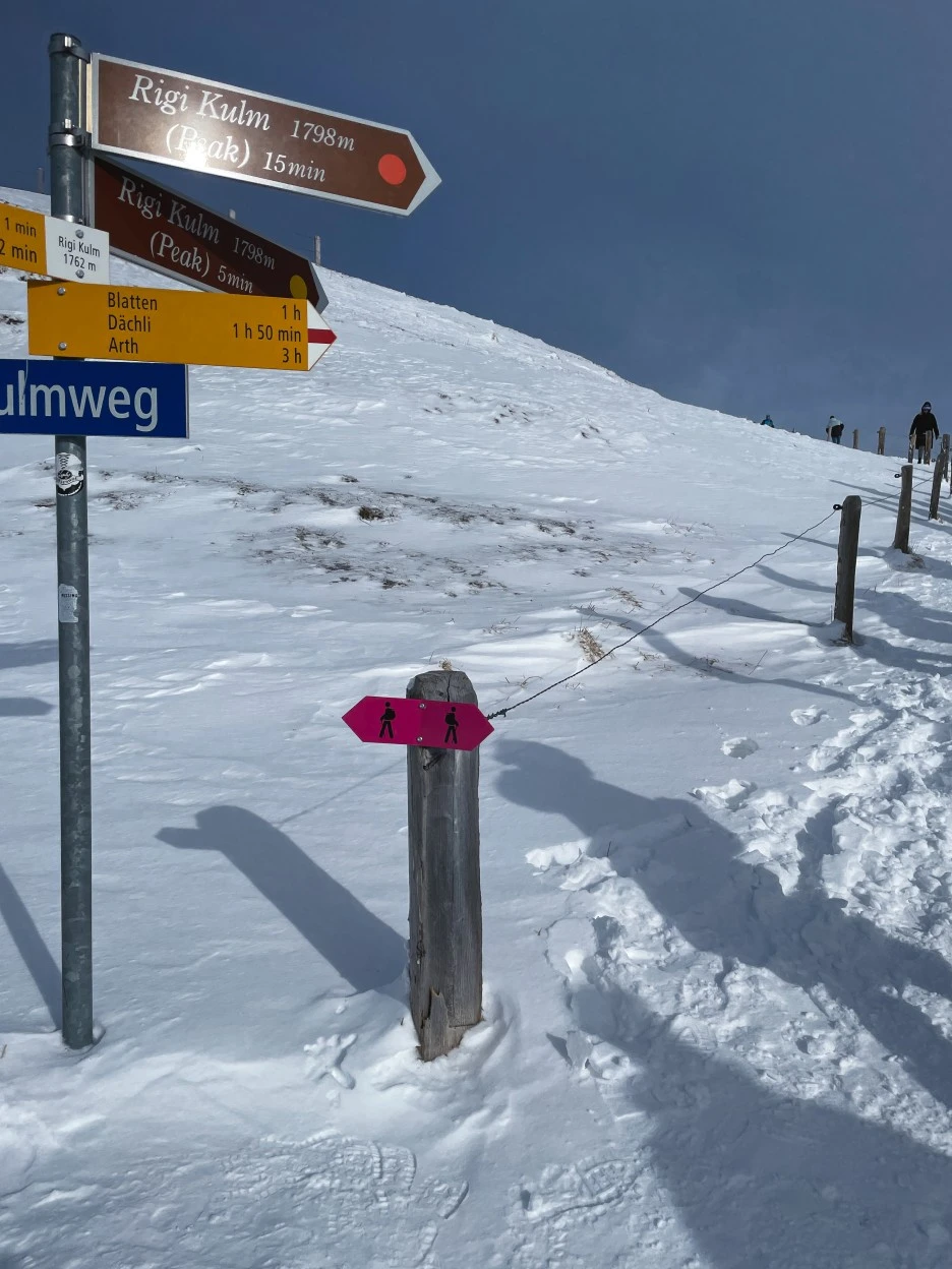 IMG_1353.jpg?type=w1