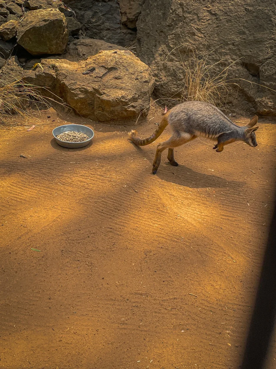 IMG_5826.jpg?type=w1