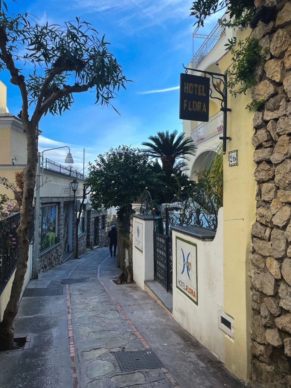 IMG_2404.jpg?type=w1