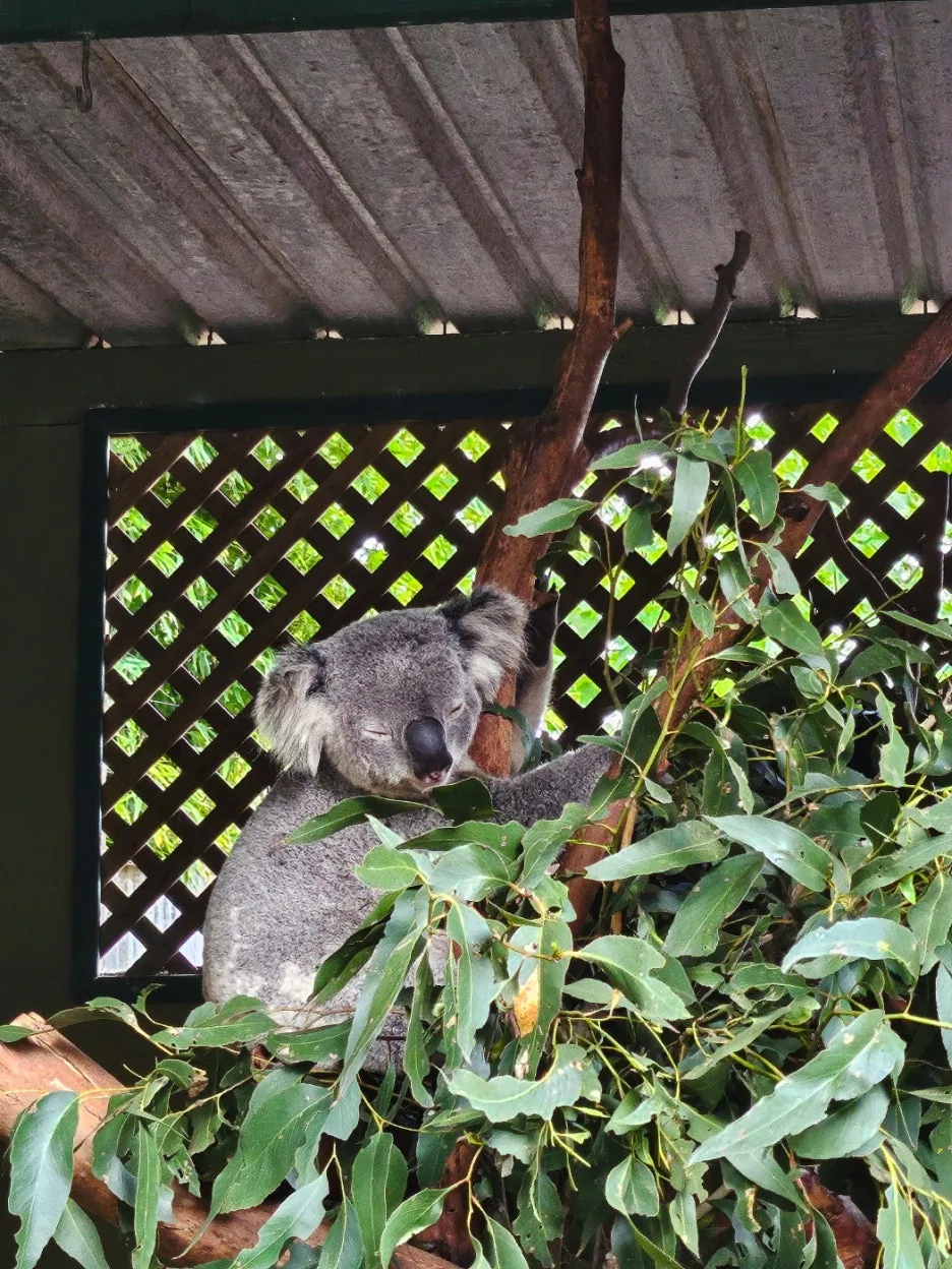 IMG_6180.jpg?type=w1