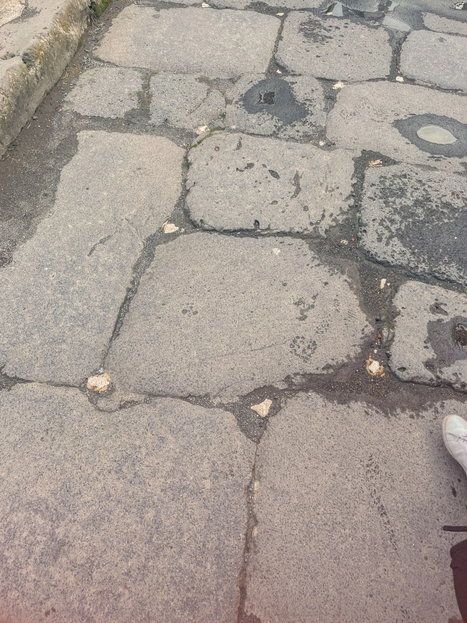 IMG_2250.jpg?type=w1