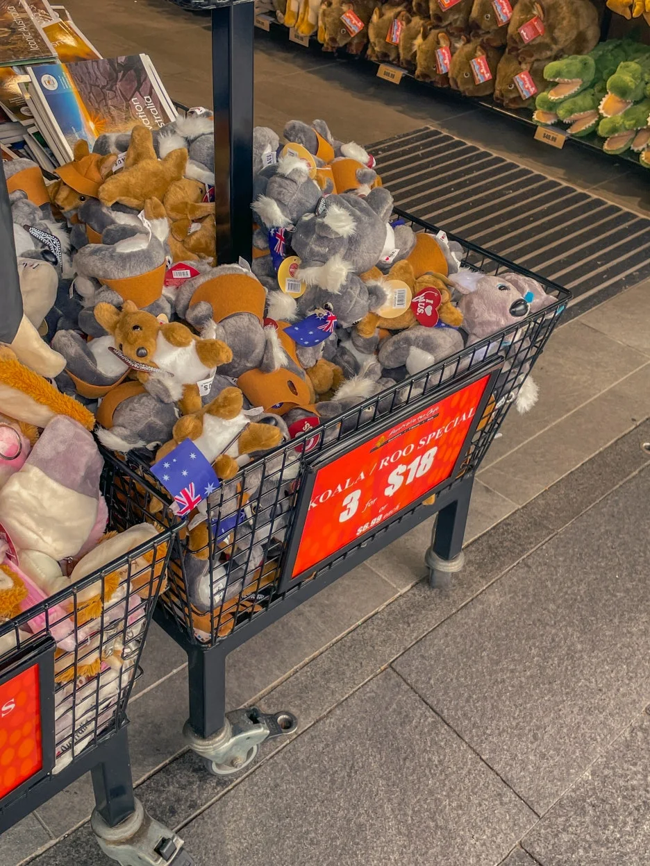 IMG_5497.jpg?type=w1