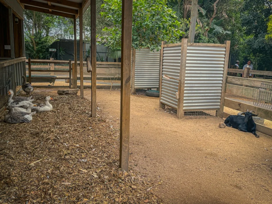 IMG_5865.jpg?type=w1