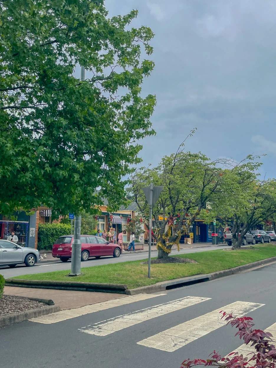 IMG_5929.jpg?type=w1