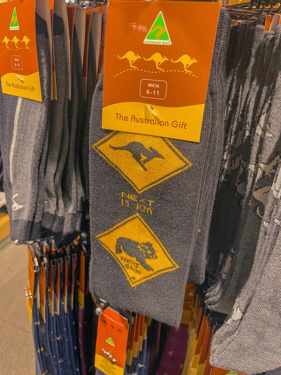 IMG_5503.jpg?type=w1