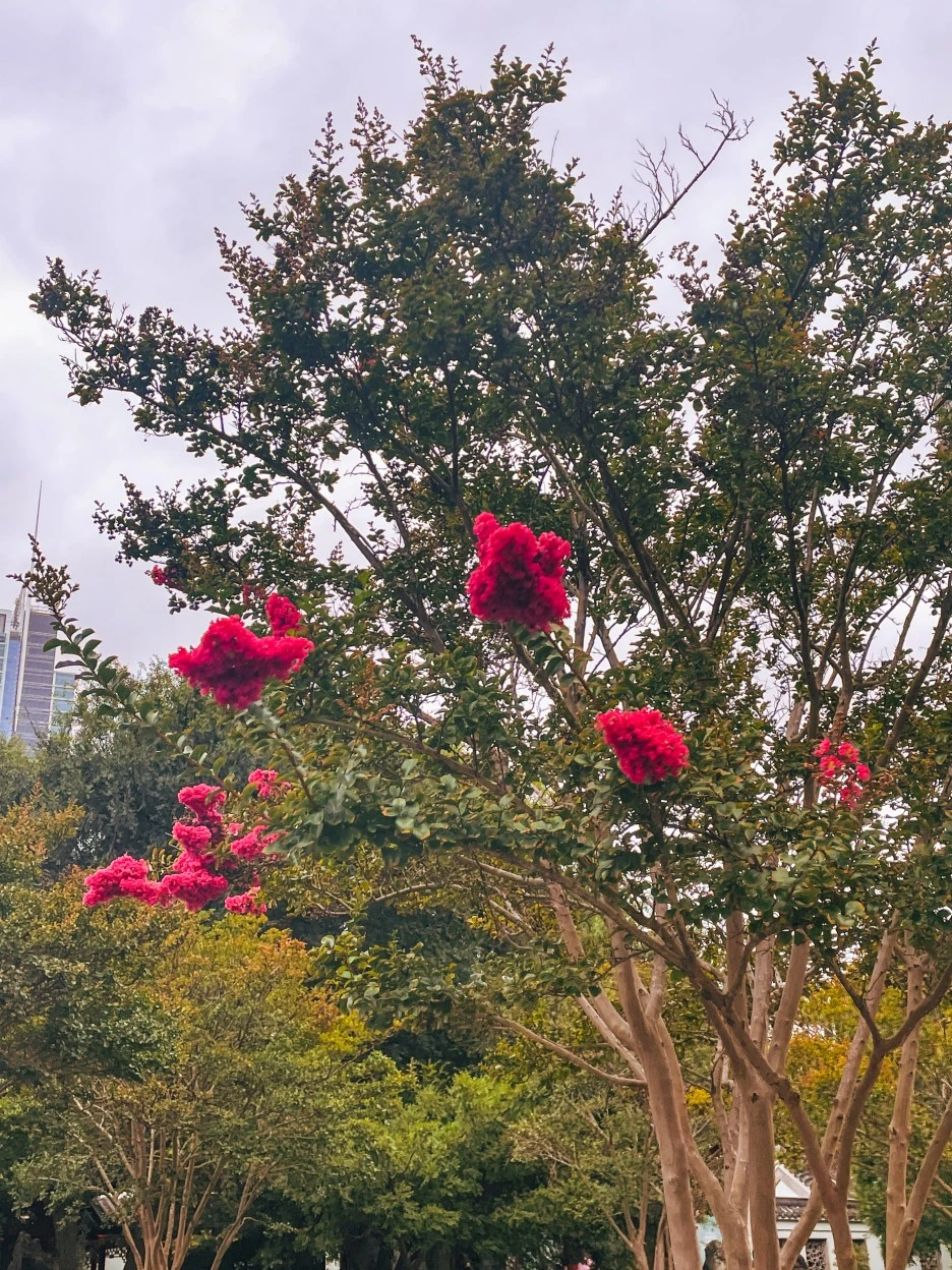 IMG_5136.jpg?type=w1