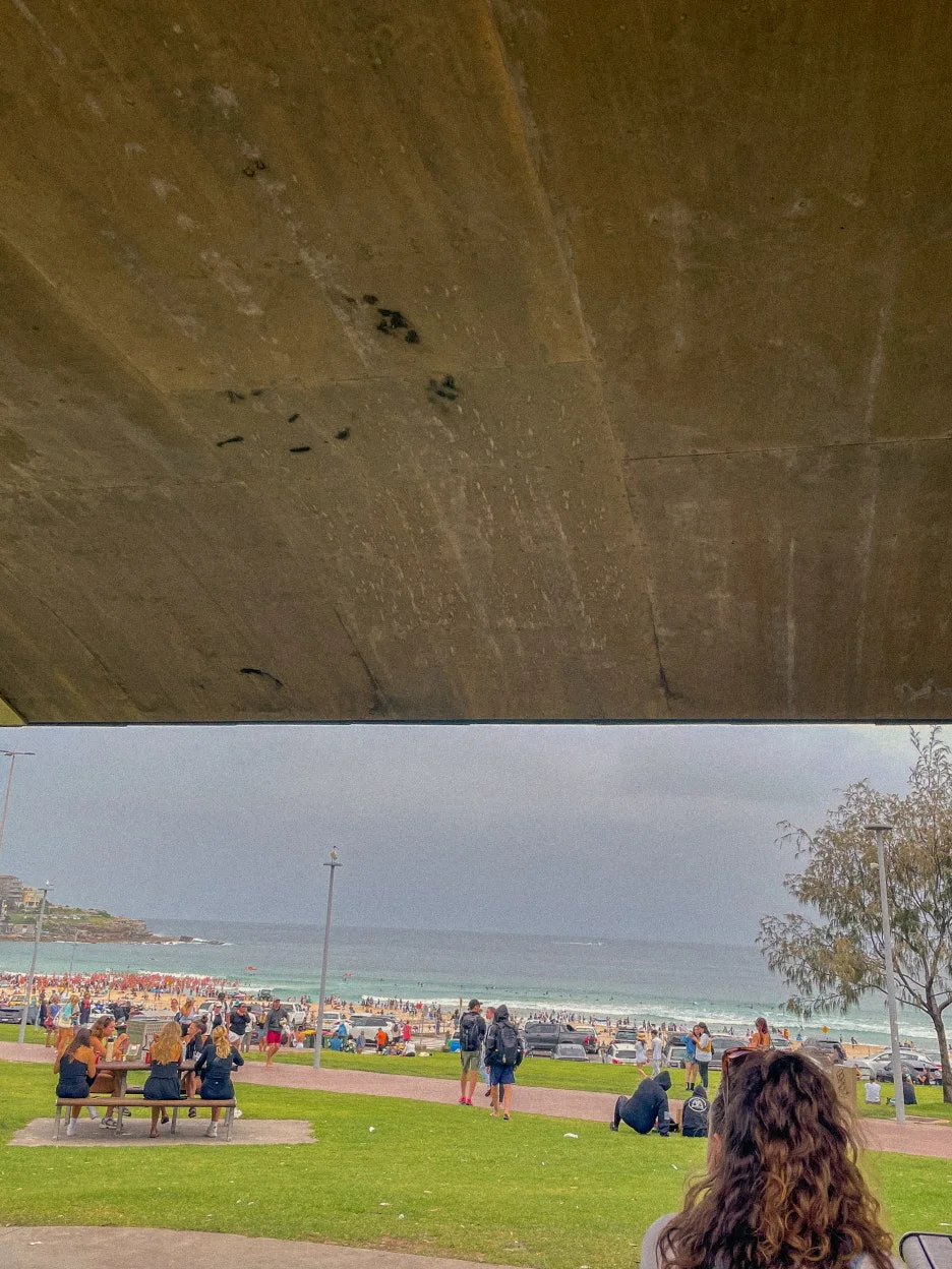 IMG_5575.jpg?type=w1