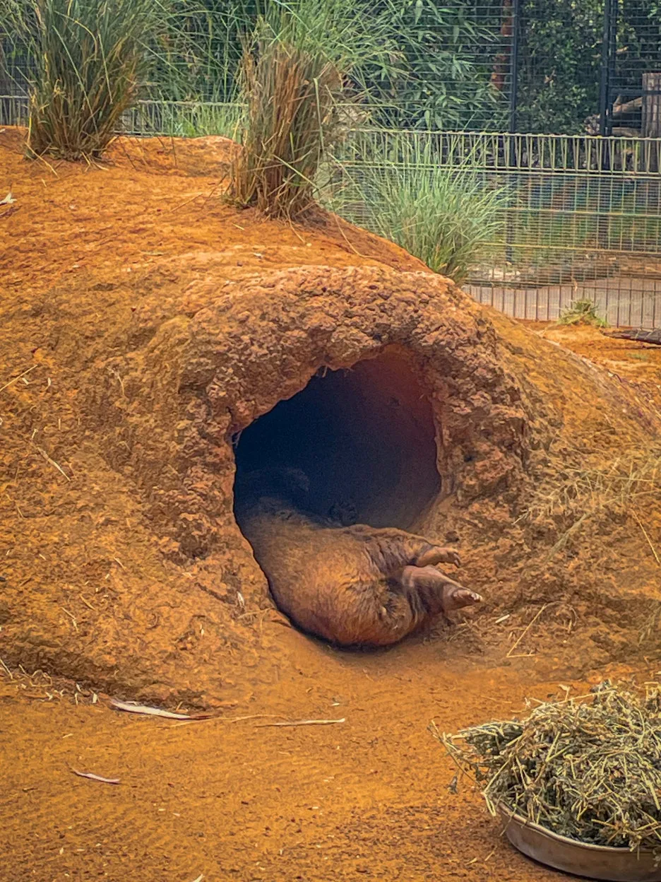 IMG_5844.jpg?type=w1