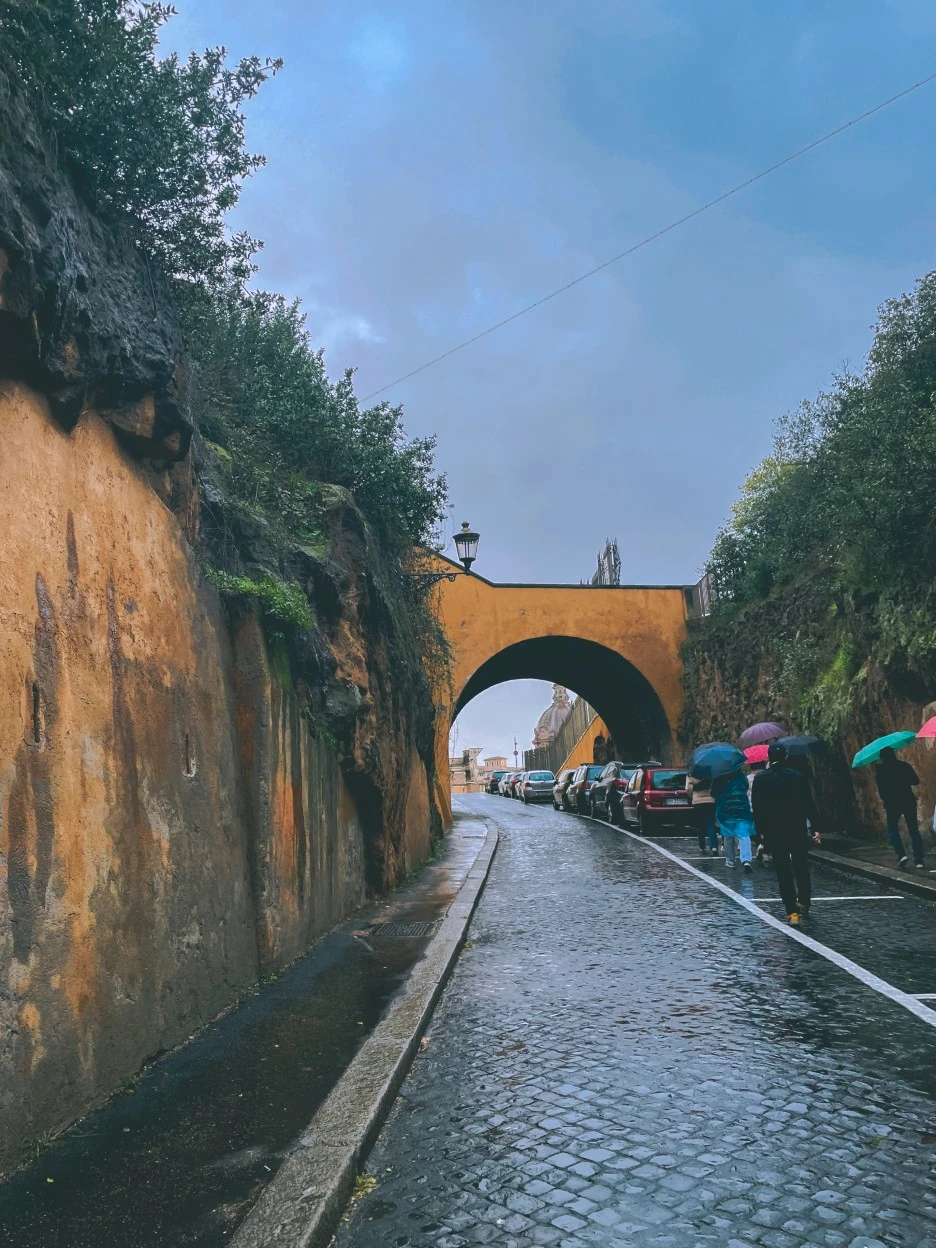 IMG_2652.jpg?type=w1