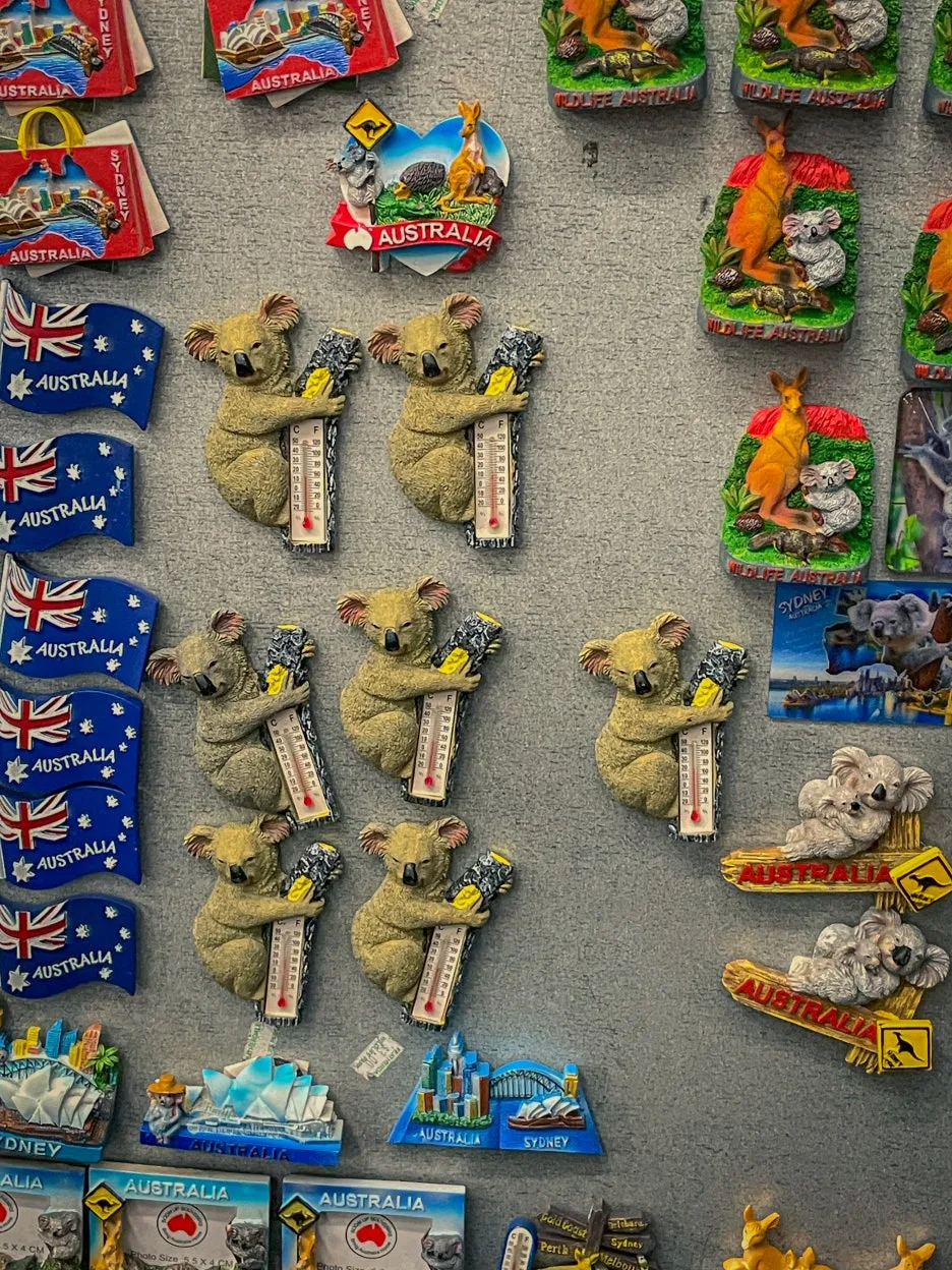 IMG_5880.jpg?type=w1