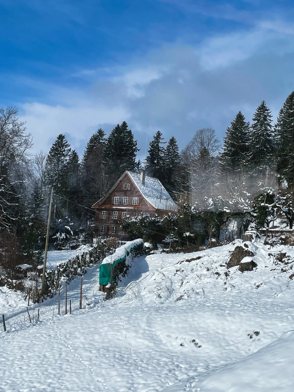 IMG_1203.jpg?type=w1