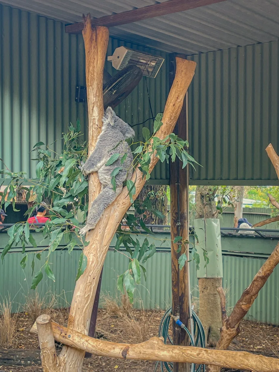 IMG_5809.jpg?type=w1