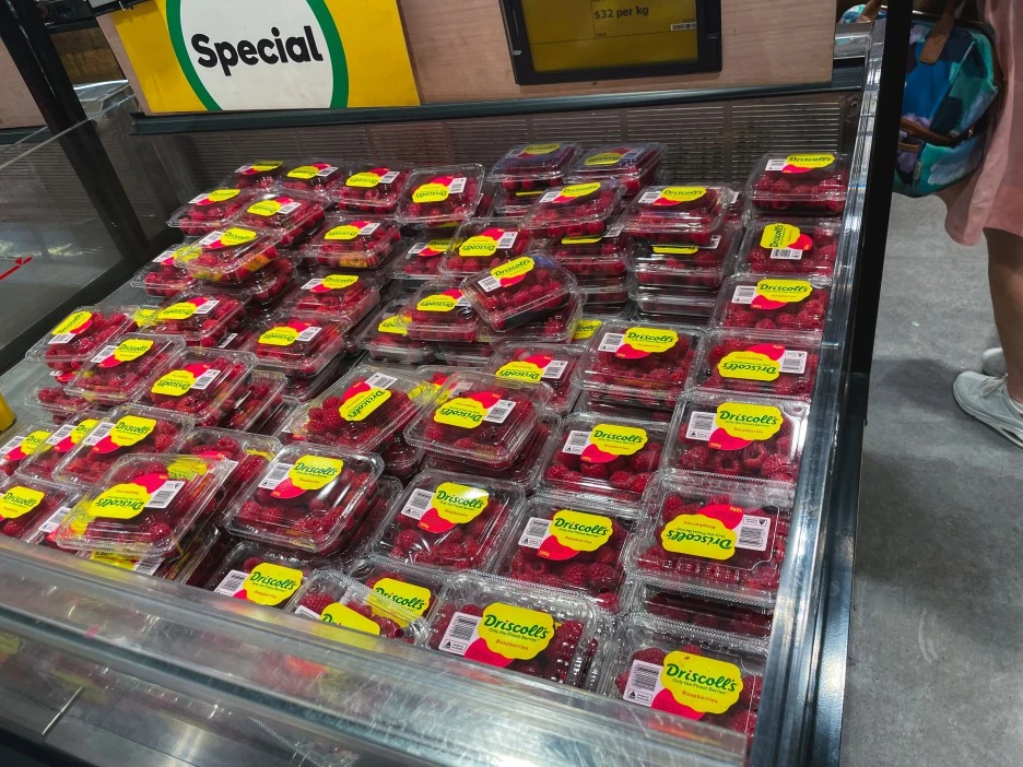 IMG_4947.jpg?type=w1