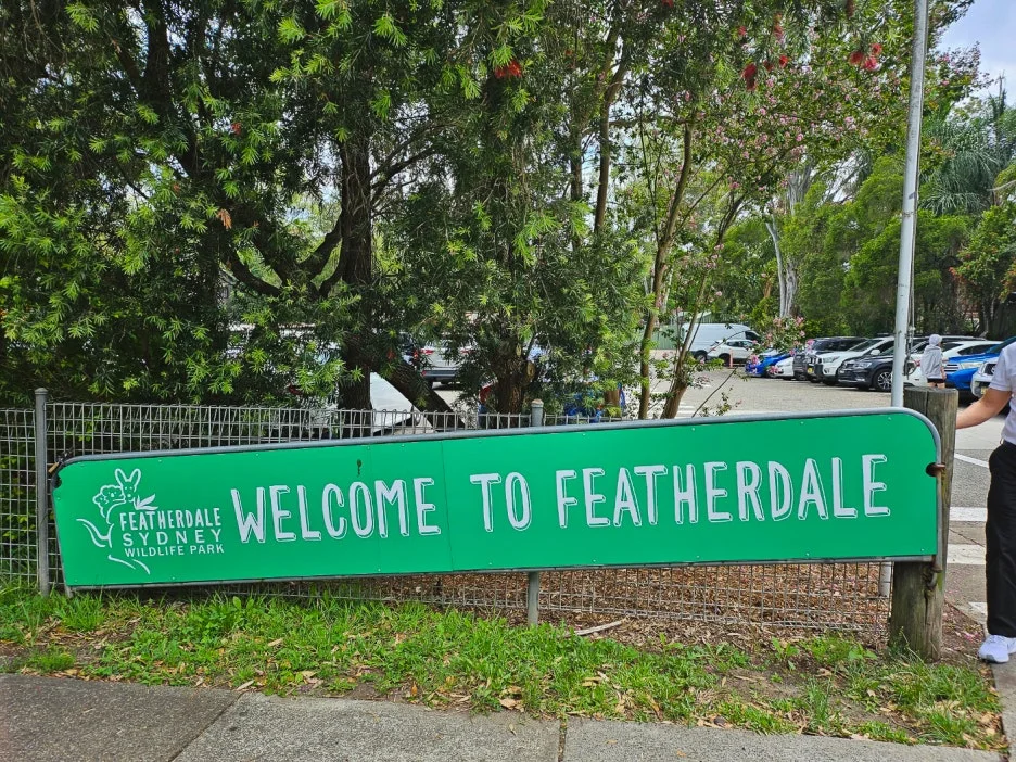 IMG_6197.jpg?type=w1