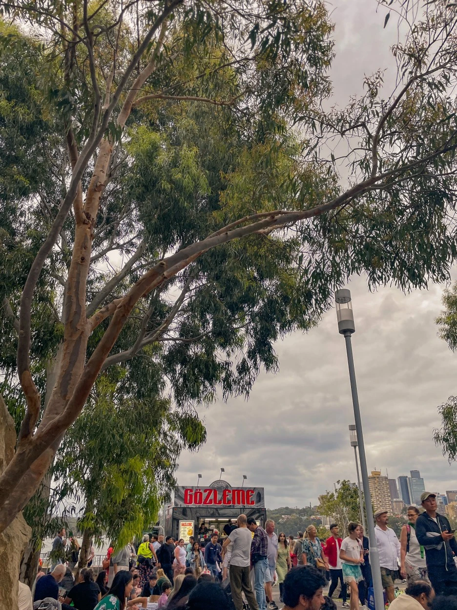 IMG_5284.jpg?type=w1