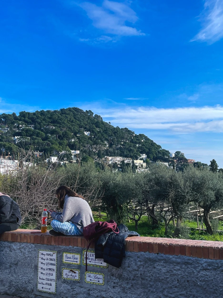 IMG_2406.jpg?type=w1