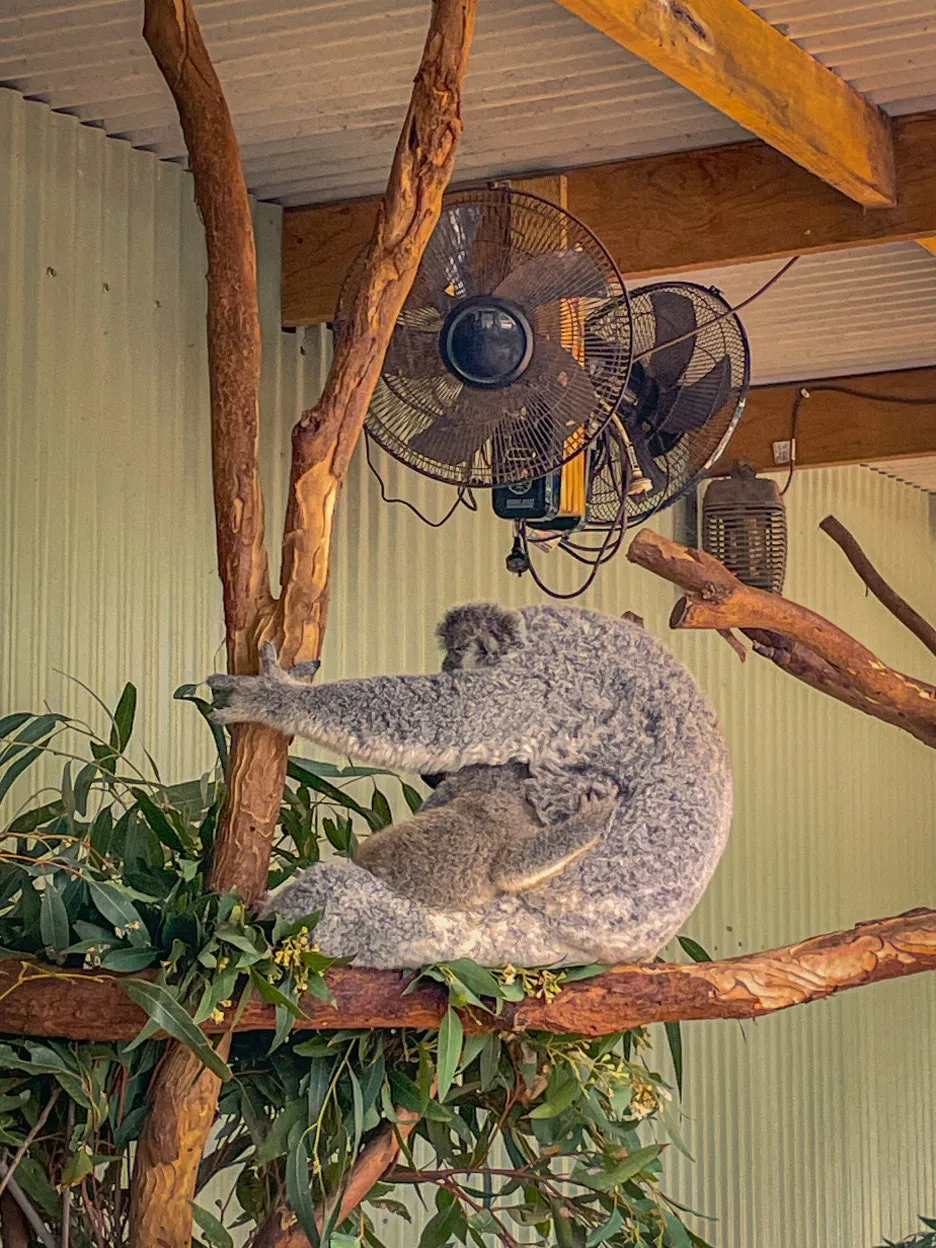 IMG_5813.jpg?type=w1