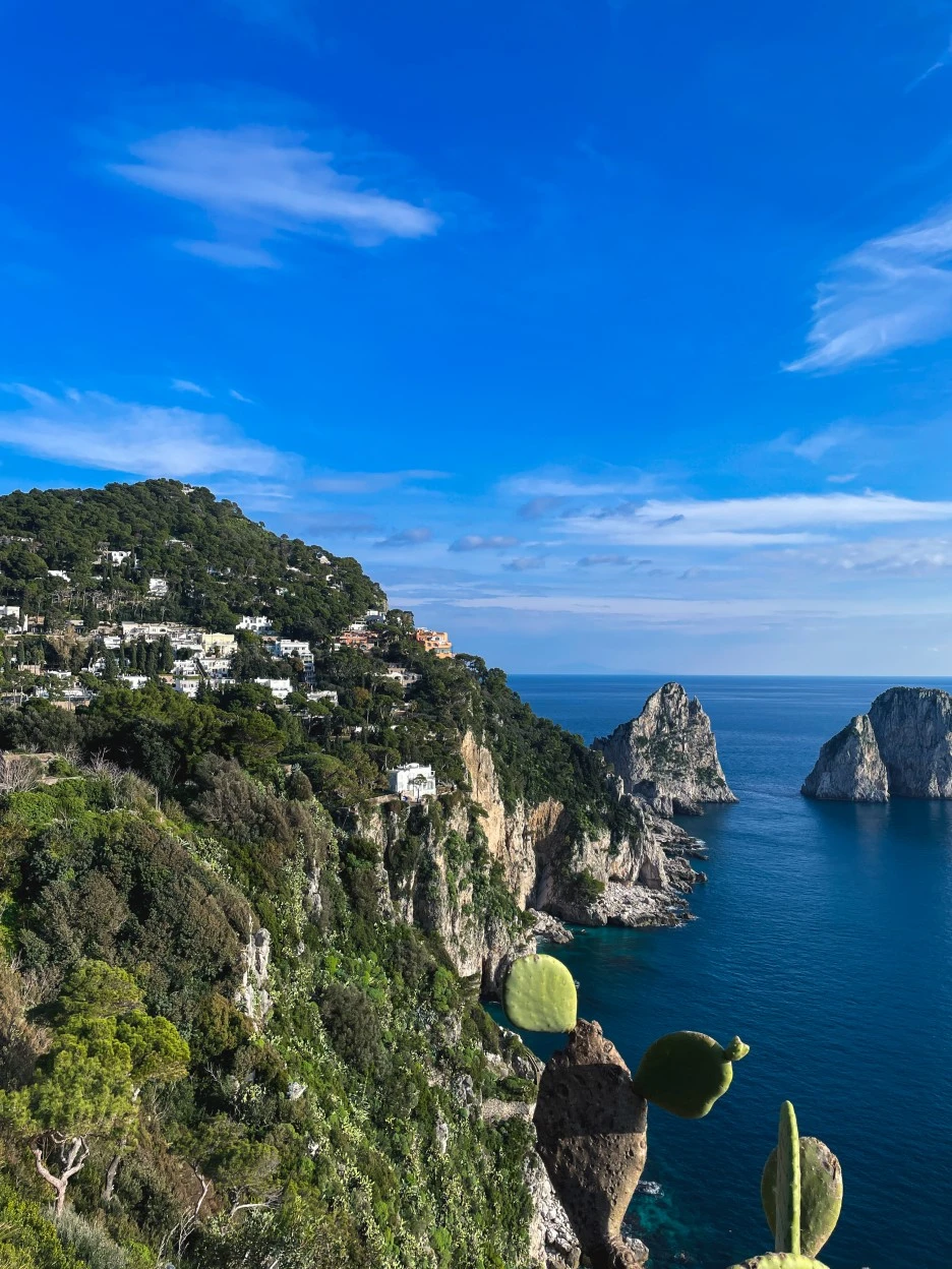 IMG_2412.jpg?type=w1