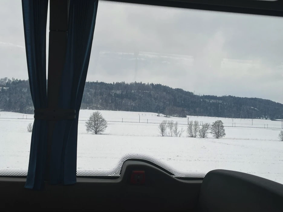 IMG_0524.jpg?type=w1