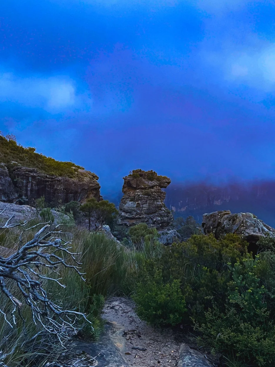 IMG_6009.jpg?type=w1