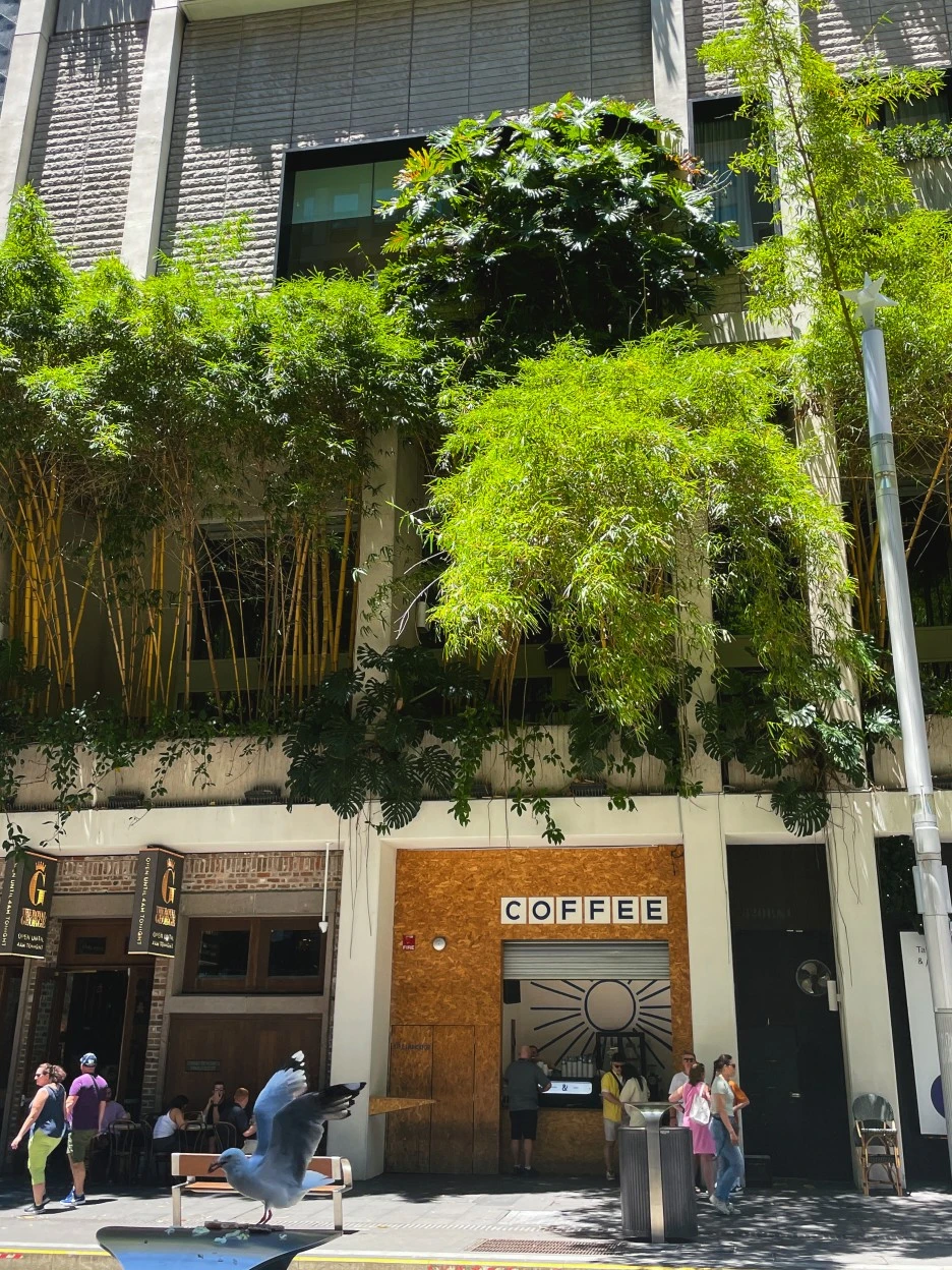 IMG_4803.jpg?type=w1