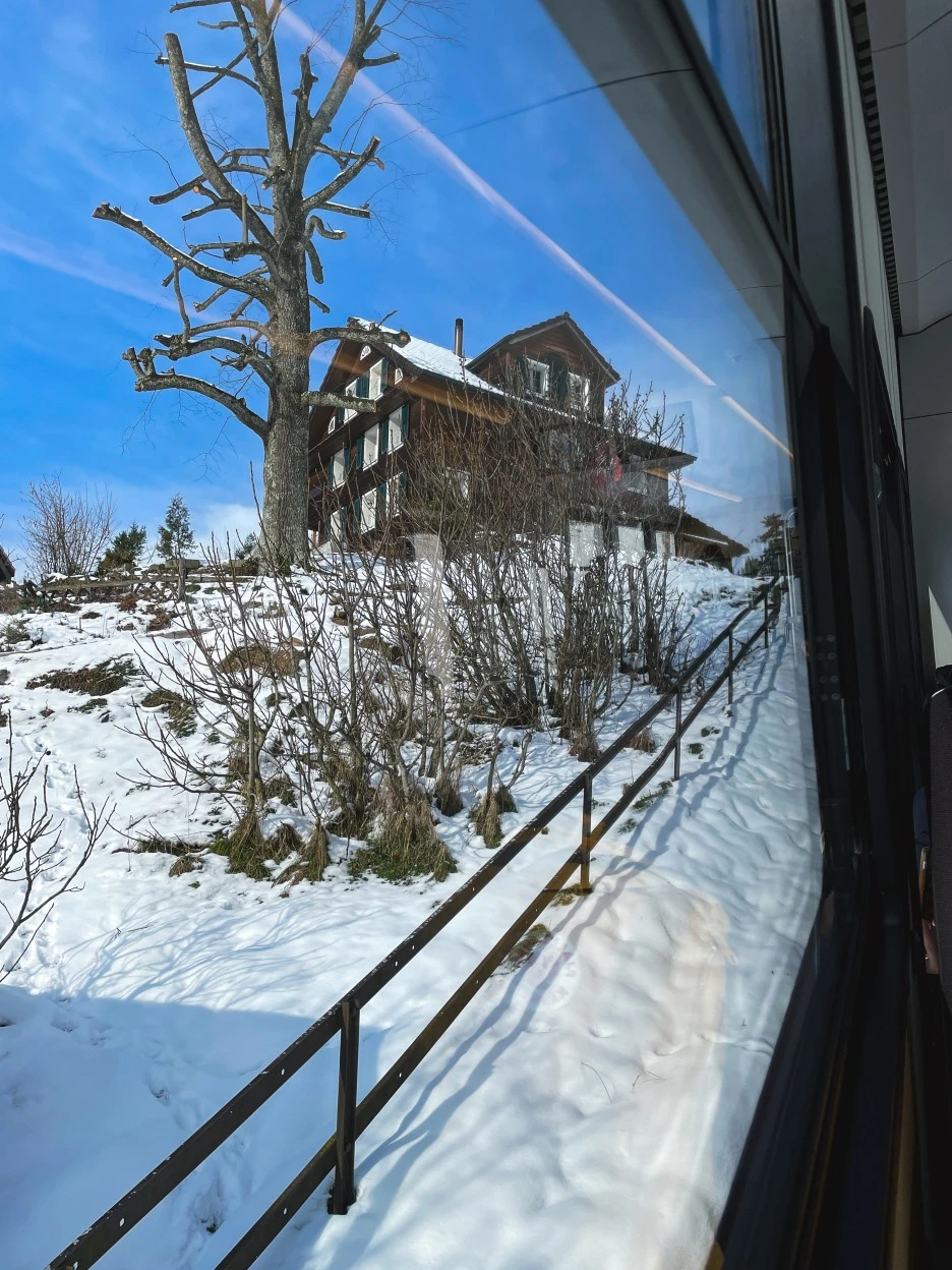 IMG_1193.jpg?type=w1