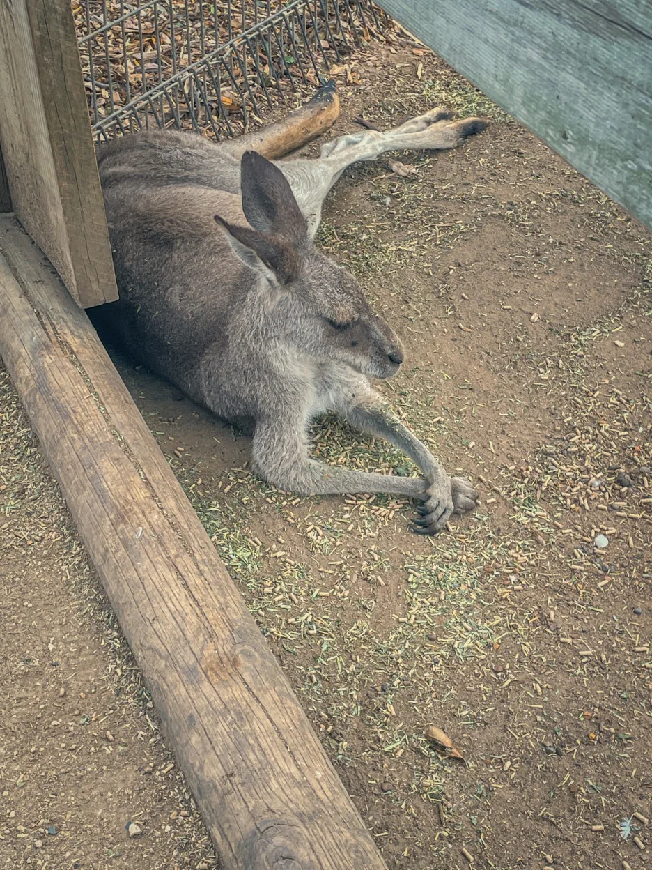 IMG_5833.jpg?type=w1