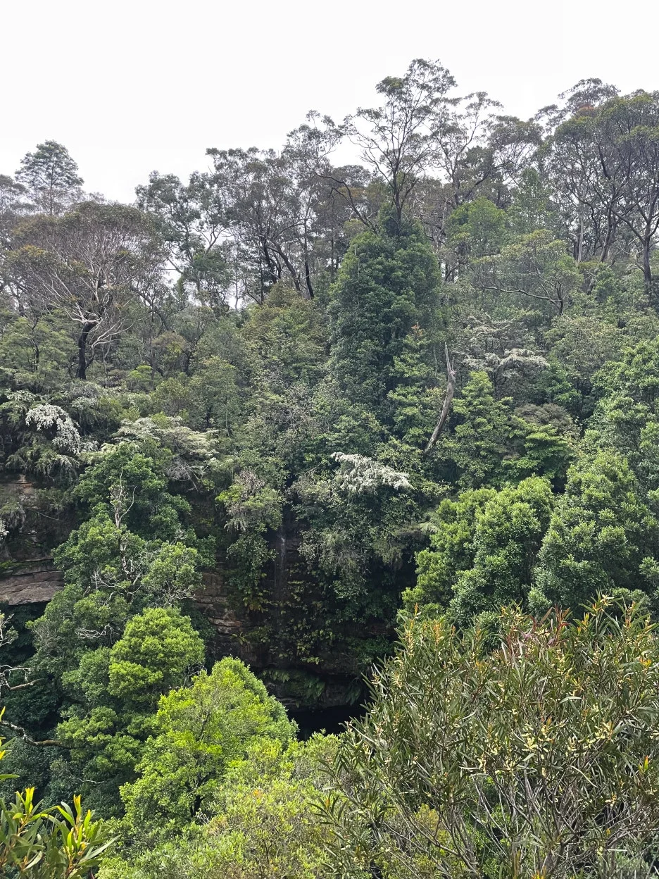 IMG_5982.jpg?type=w1