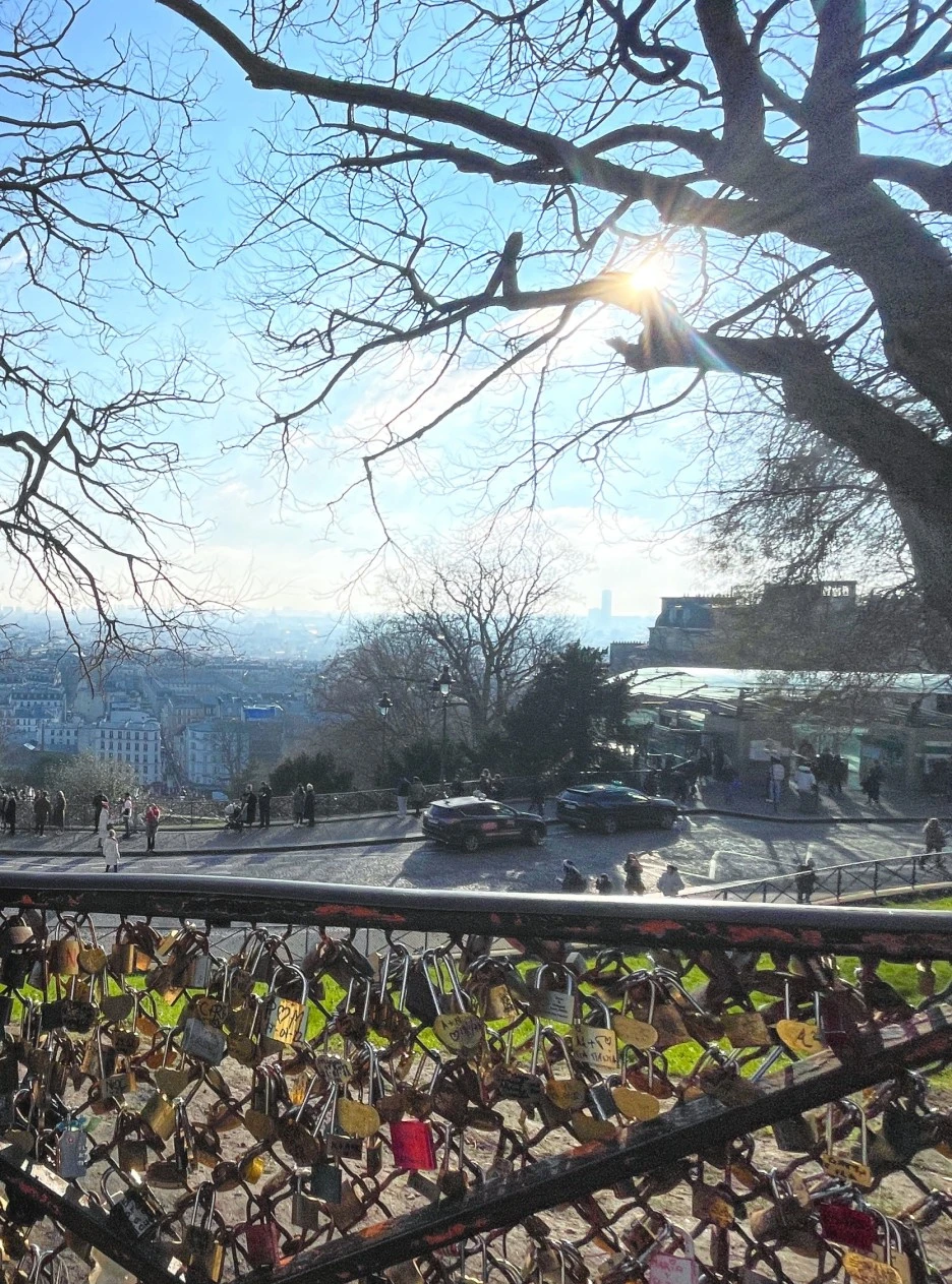 SE-0c481853-92de-4075-a040-c5b3efc10976.jpg?type=w1