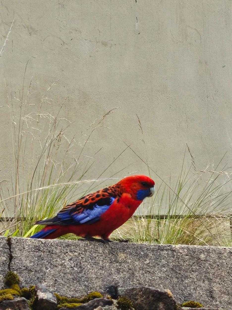 IMG_6309.jpg?type=w1