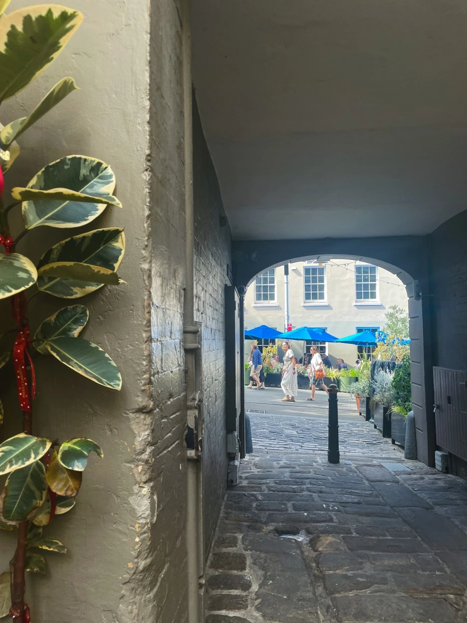 IMG_4860.jpg?type=w1