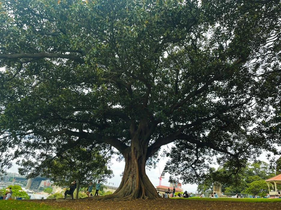 IMG_4899.jpg?type=w1