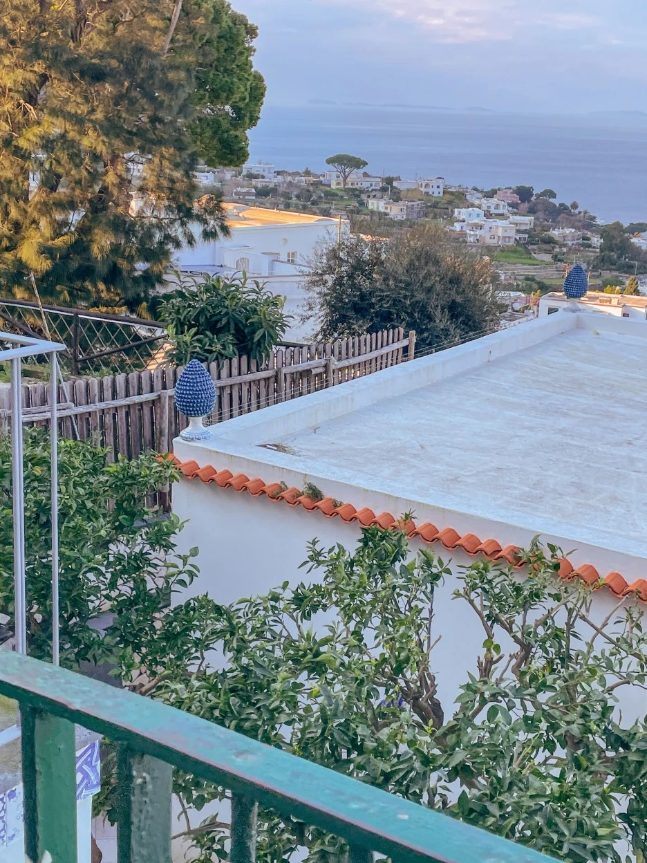 IMG_2479.jpg?type=w1