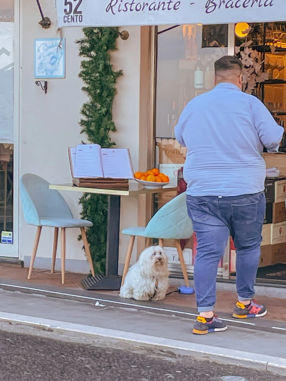 IMG_2485.jpg?type=w1