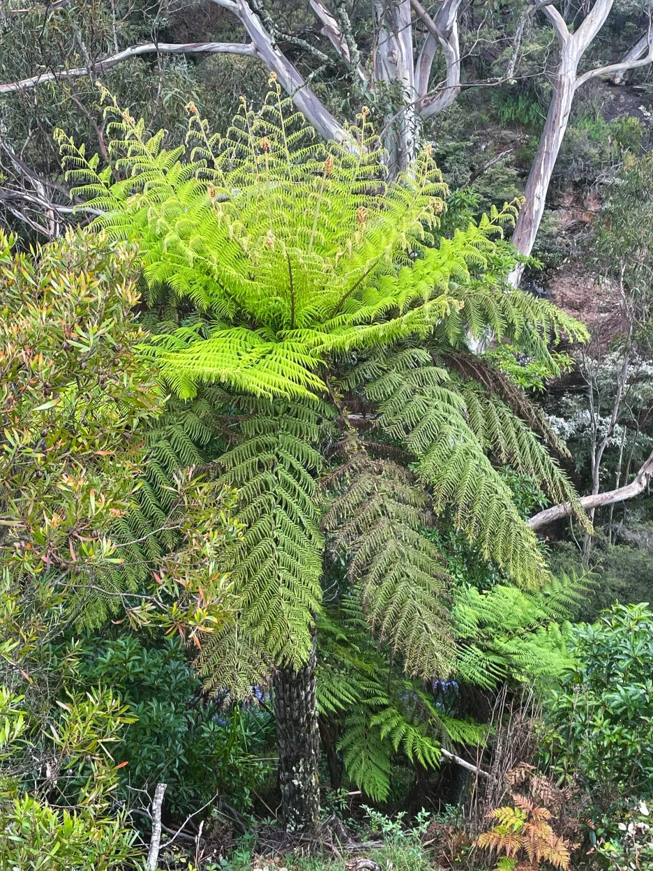 IMG_5937.jpg?type=w1