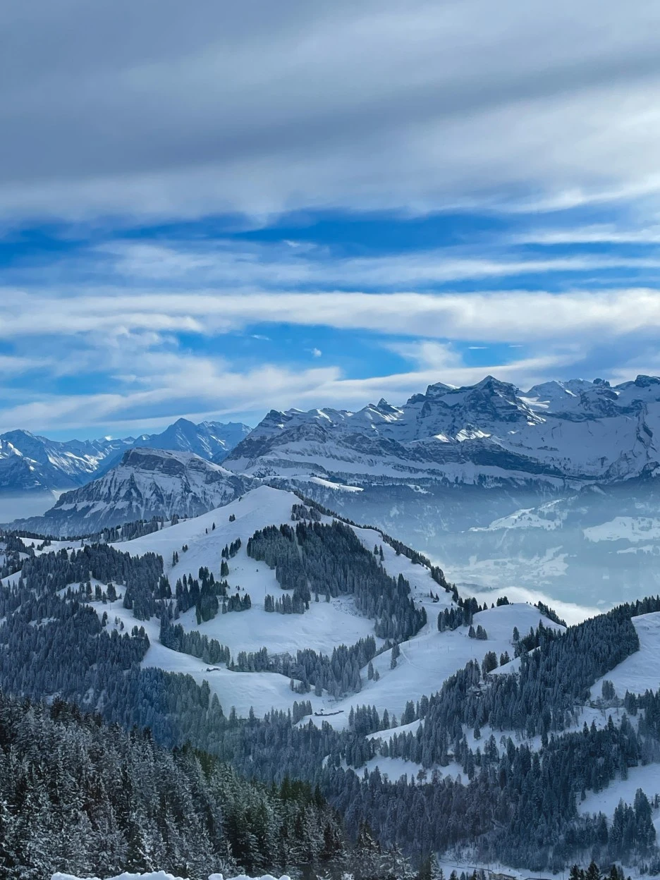 IMG_1375.jpg?type=w1