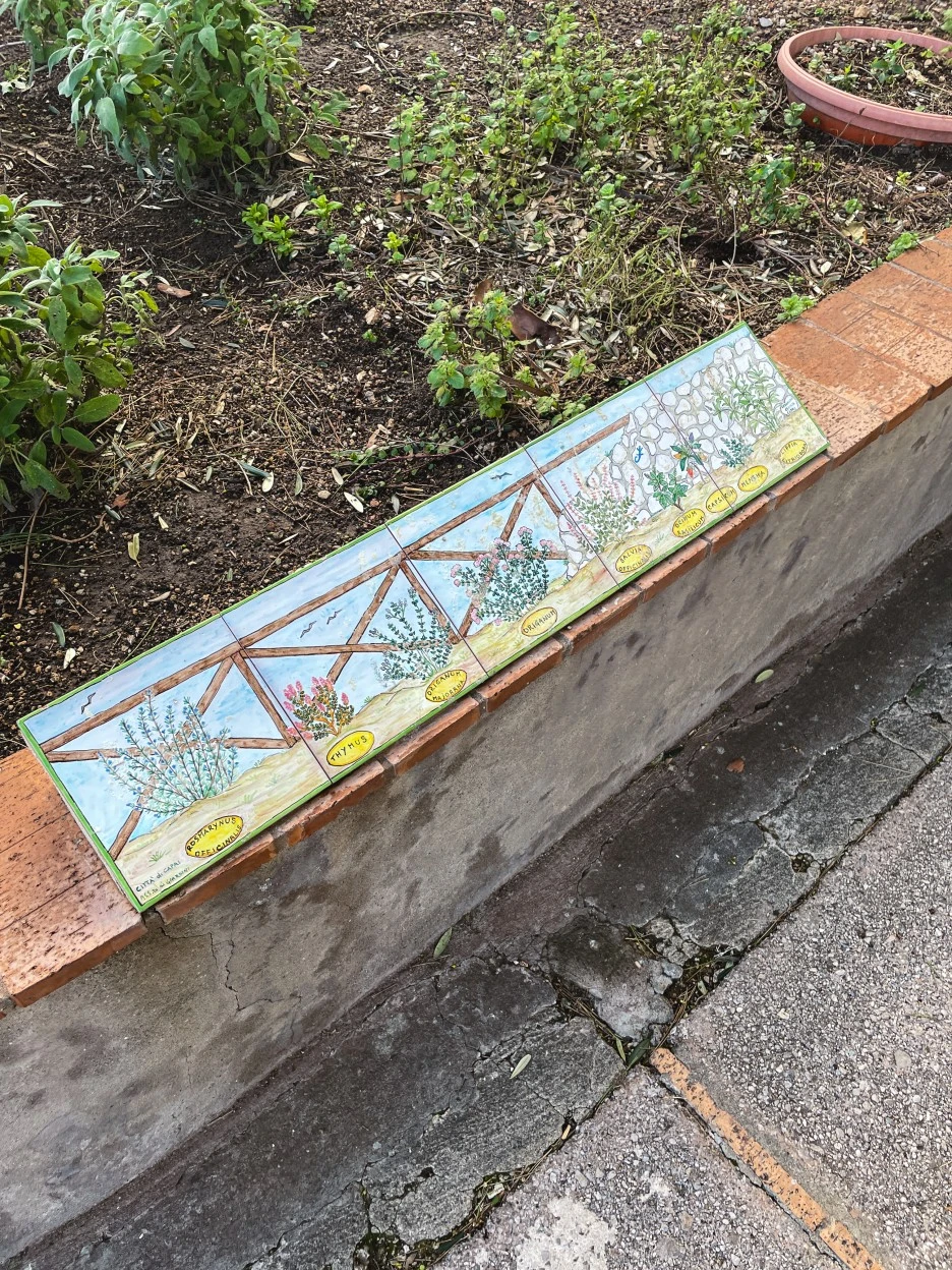 IMG_2430.jpg?type=w1