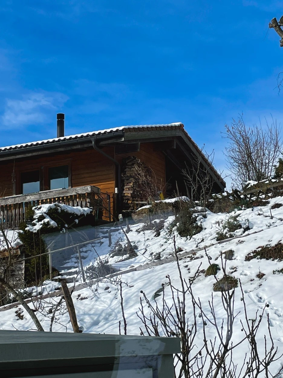 IMG_1195.jpg?type=w1