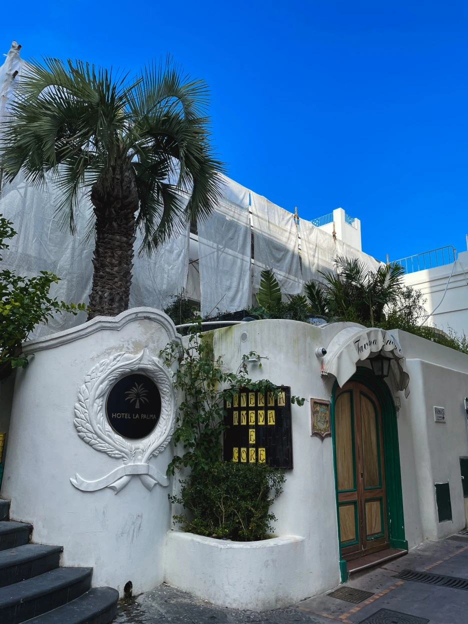 IMG_2456.jpg?type=w1